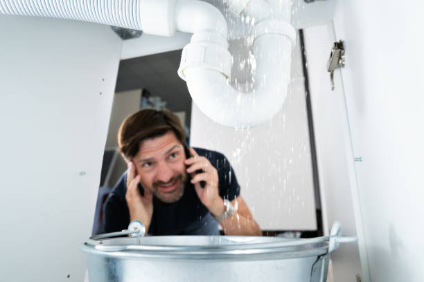Best Clogged Drain Plumber  in Sheridan, IN