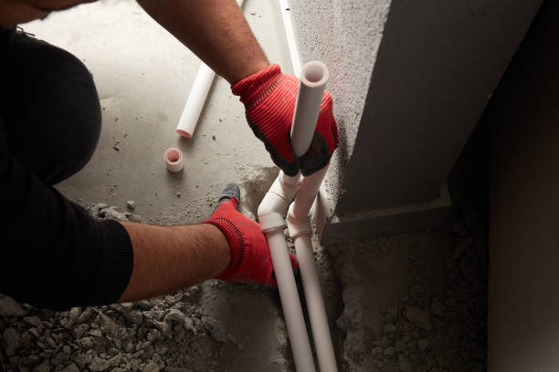 Best Local Plumber Services  in Sheridan, IN