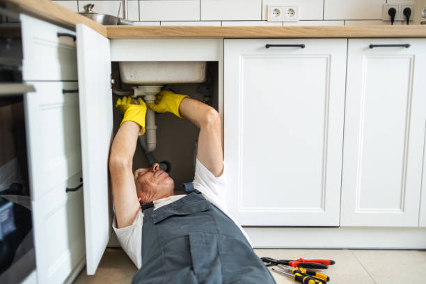 Best Plumbing Services Near Me  in Sheridan, IN