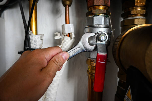 Best Water Leak Repair  in Sheridan, IN